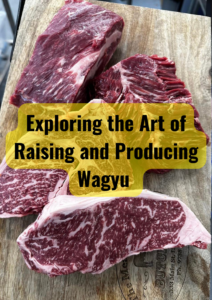 Exploring the Art of Raising and Producing Wagyu, Melbourne Butchers, Beef Brisket Melbourne - The Meat Inn Place